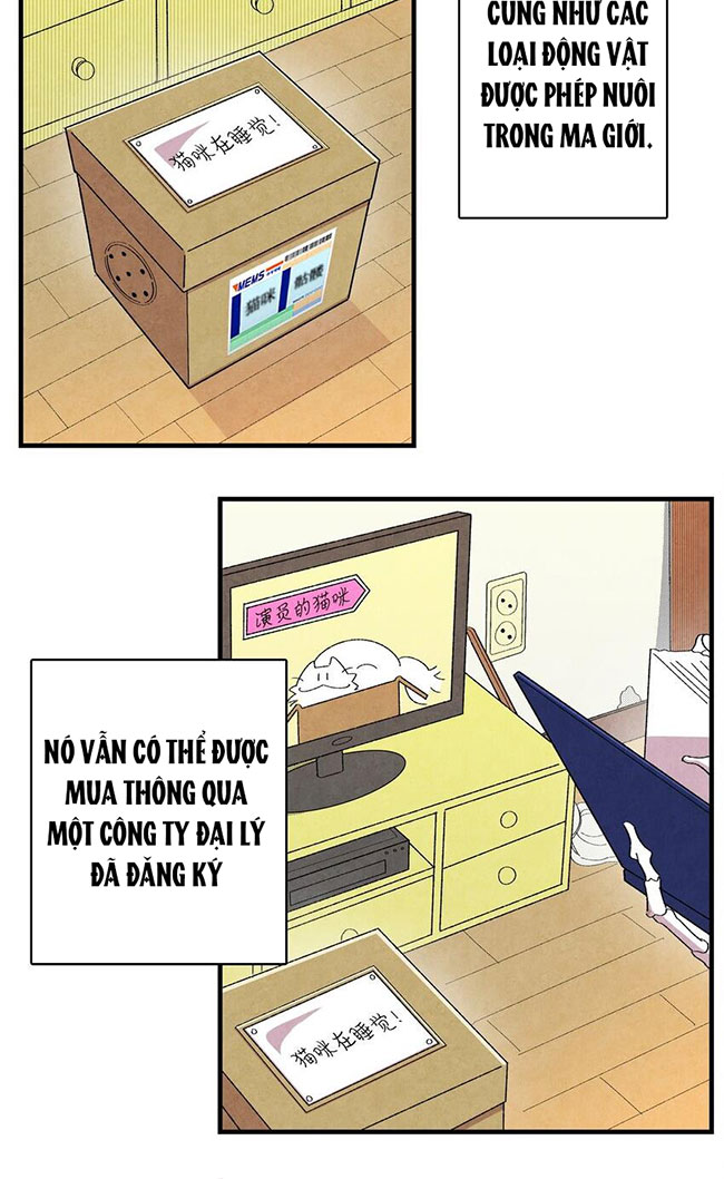 Skeleton làm bố Chapter 1 - Trang 63