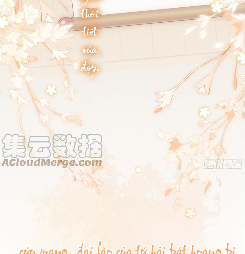 Tổ Chim Phượng Hoàng  Chapter 0.5 - Trang 24