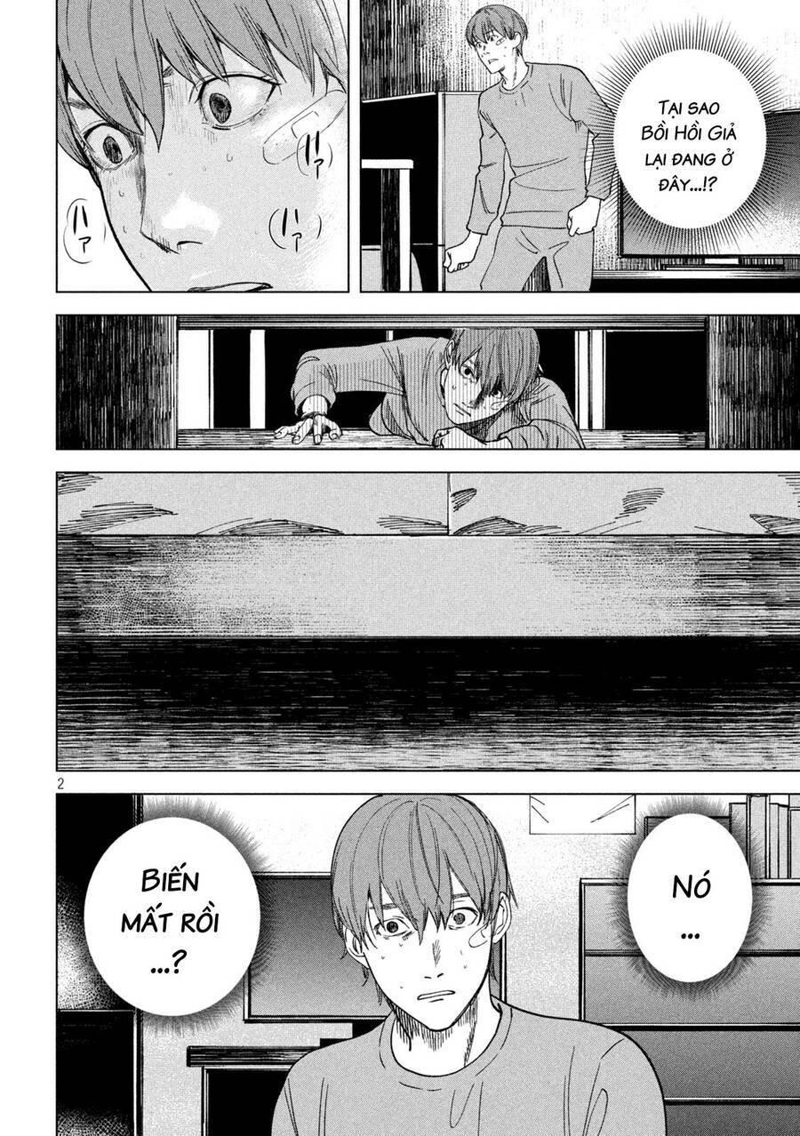 bồi hồi giả chapter 14 - Trang 5
