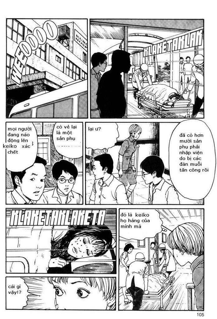 vòng xoắn ốc chapter 10 - Trang 7