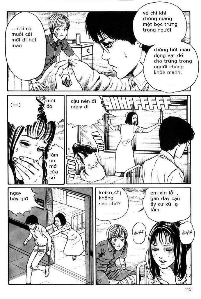 vòng xoắn ốc chapter 10 - Trang 15
