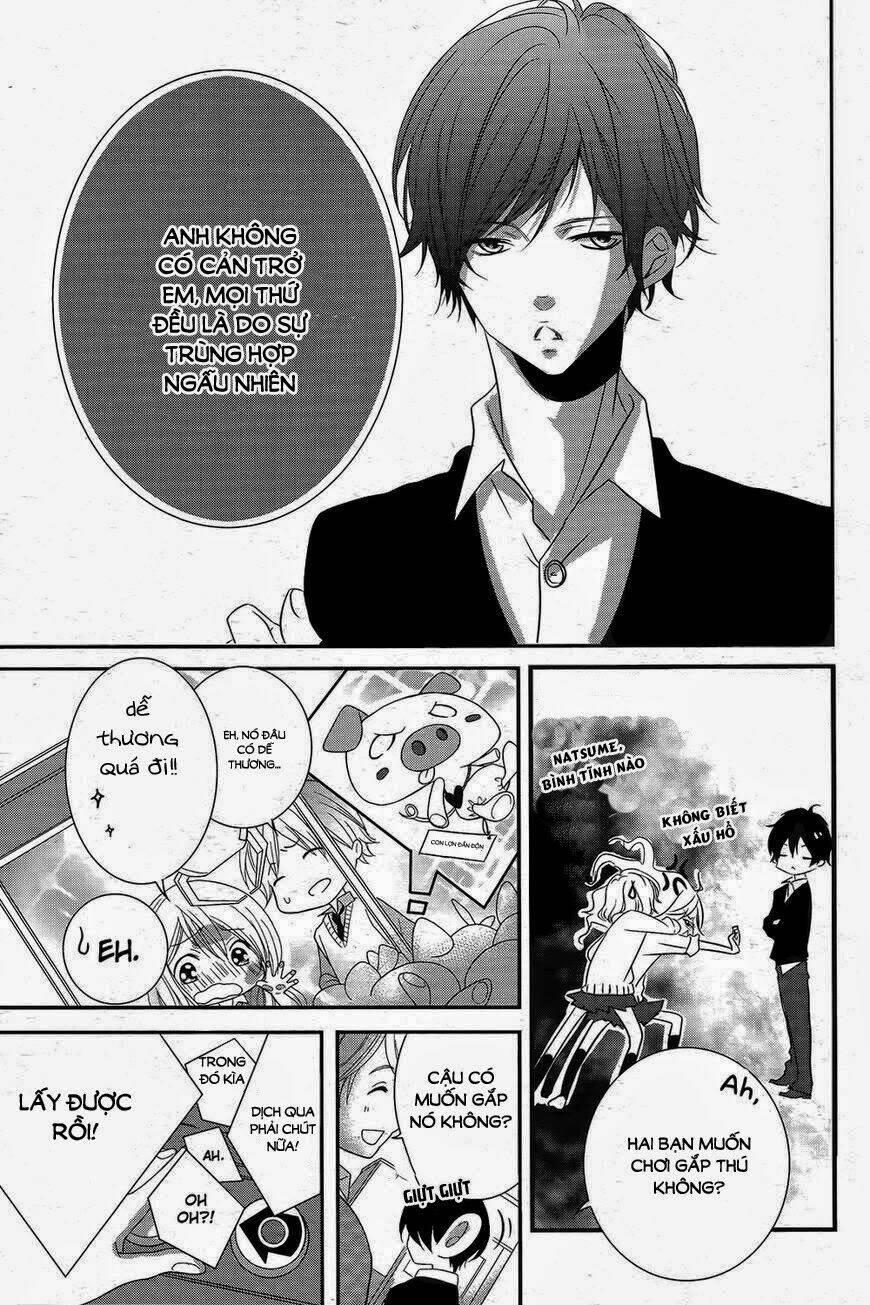 mikami-sensei no aishikata chapter 1 - Trang 15