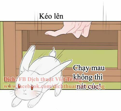 phải lòng cậu shipper chapter 14 - Trang 19
