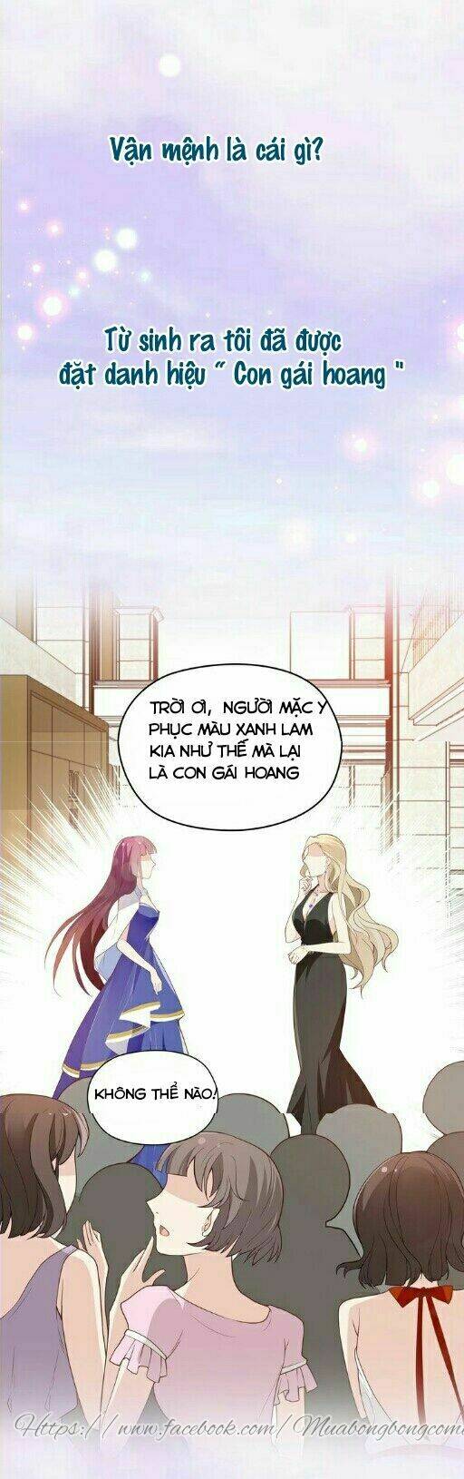 song diện tổng tài sủng thê chỉ nam chapter 0 - Trang 2