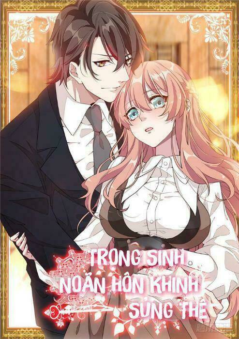 trọng sinh noãn hôn khinh sủng thê chapter 6 - Trang 1