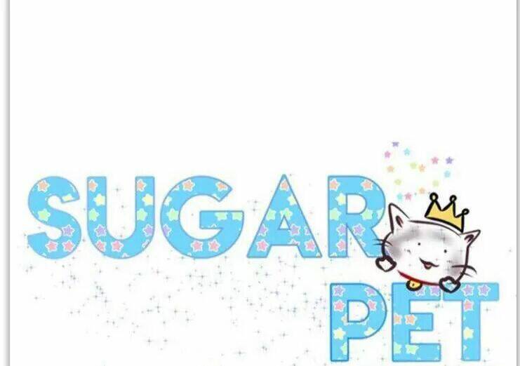 sugar pet chapter 24 - Trang 9