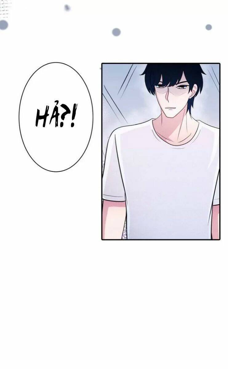 sugar pet chapter 24 - Trang 21