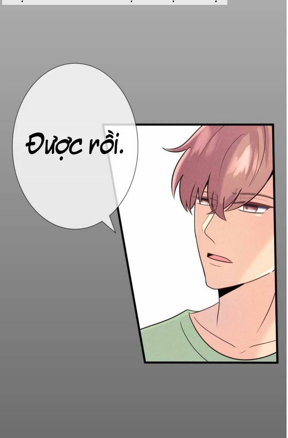 sugar pet chapter 26 - Trang 5