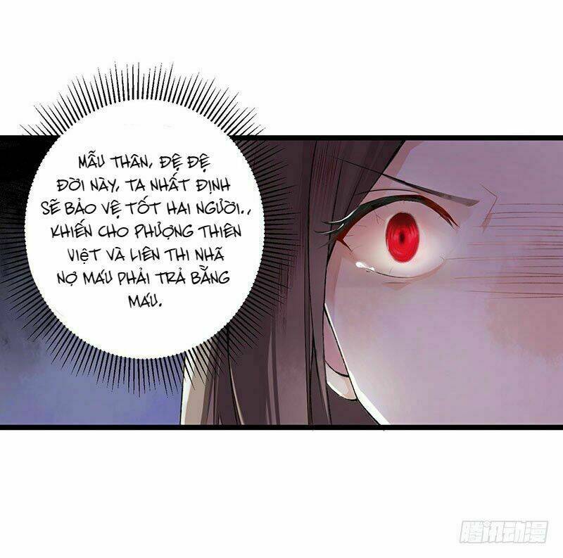 nhất phẩm đích nữ chapter 2 - Trang 13