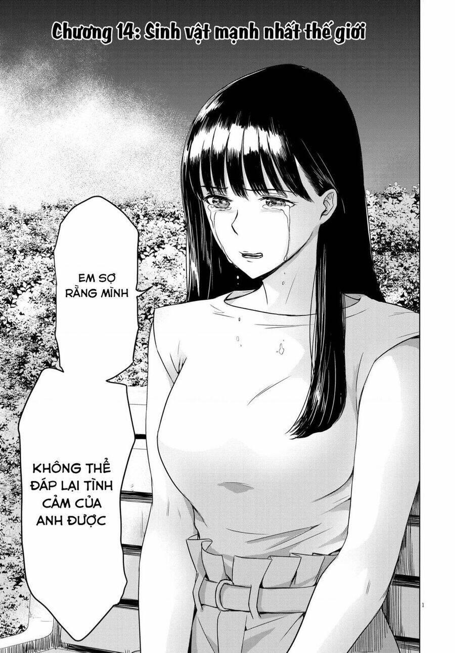 tôi không phải miếng mồi ngon của mấy người! chapter 14 - Trang 2