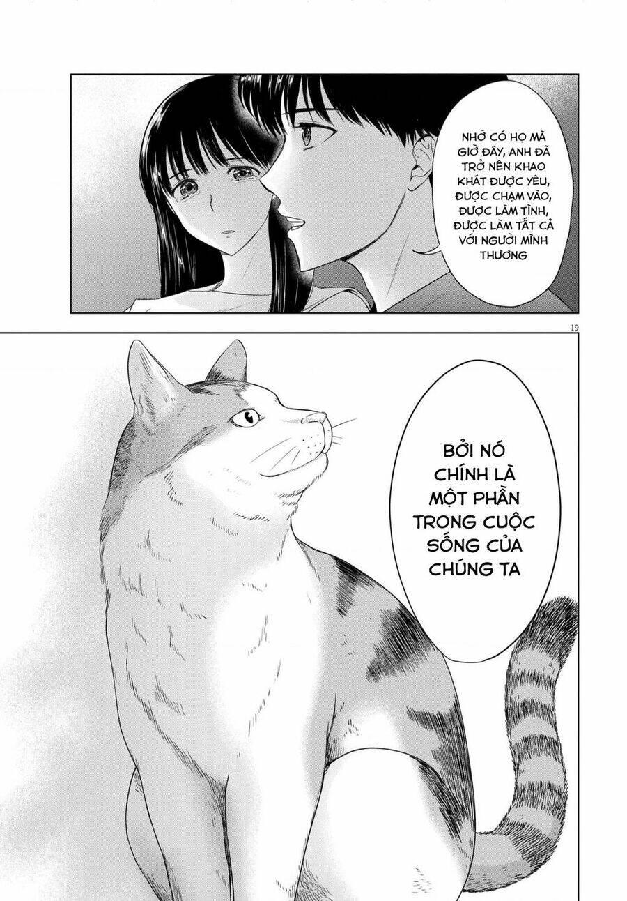 tôi không phải miếng mồi ngon của mấy người! chapter 14 - Trang 20