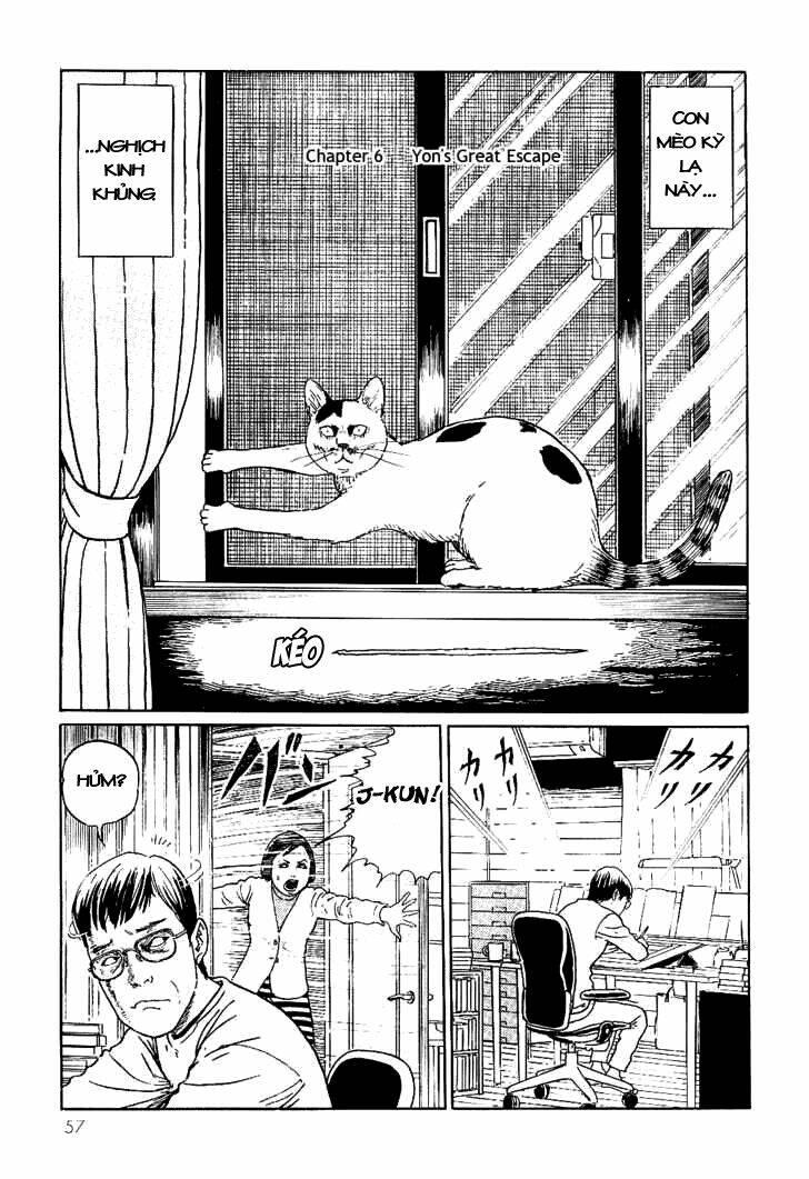 ito junji cat's diary chapter 6 - Trang 1
