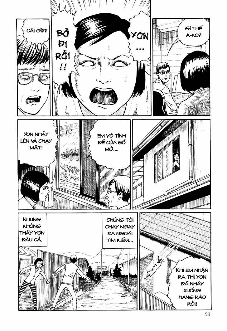 ito junji cat's diary chapter 6 - Trang 2