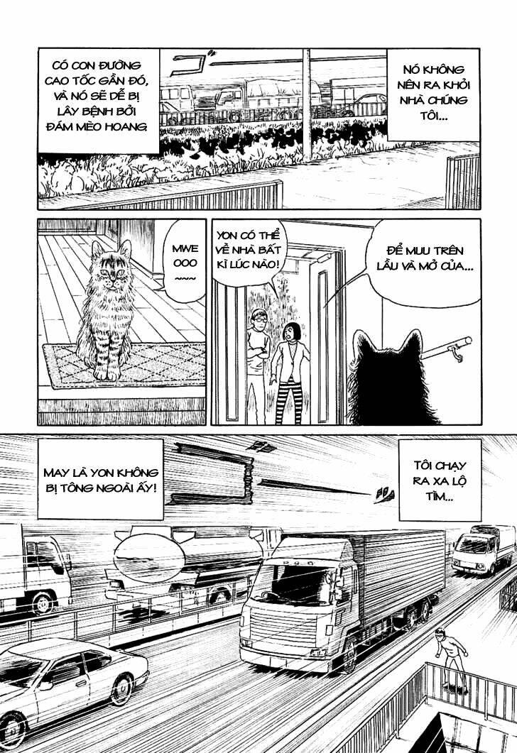 ito junji cat's diary chapter 6 - Trang 3