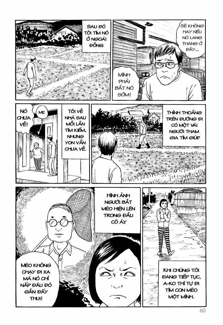 ito junji cat's diary chapter 6 - Trang 4