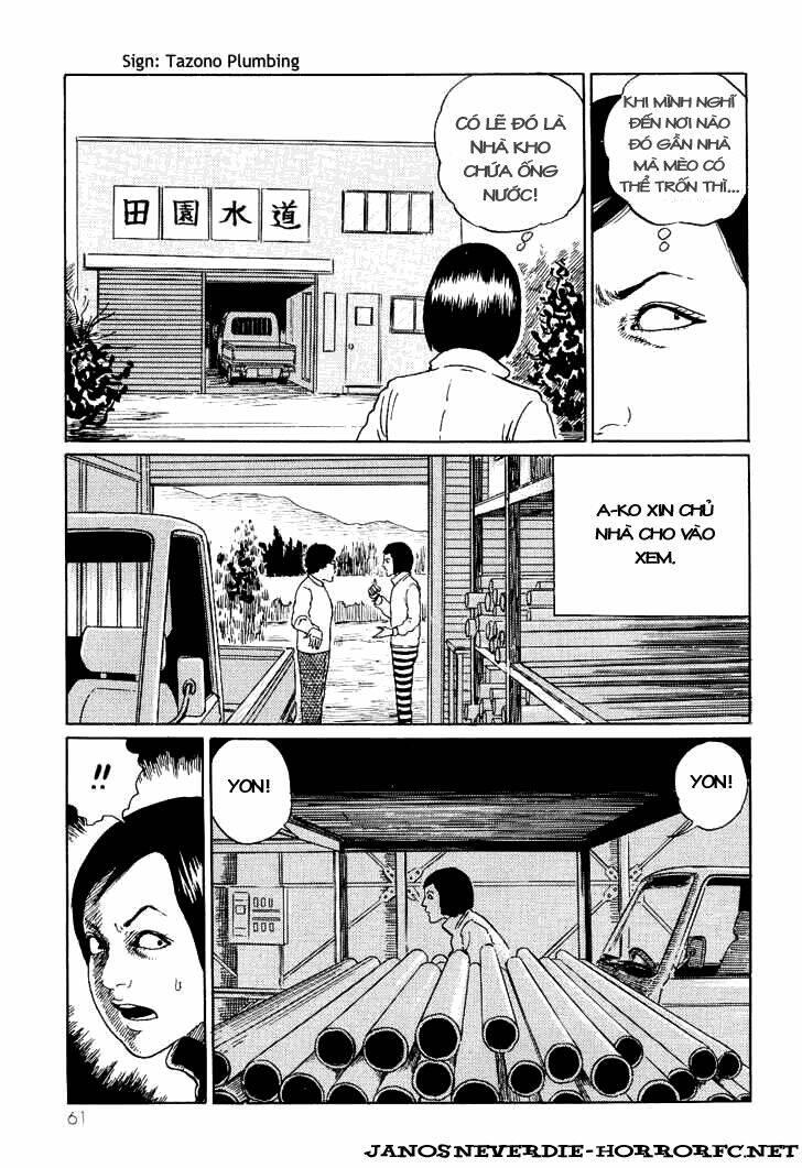 ito junji cat's diary chapter 6 - Trang 5