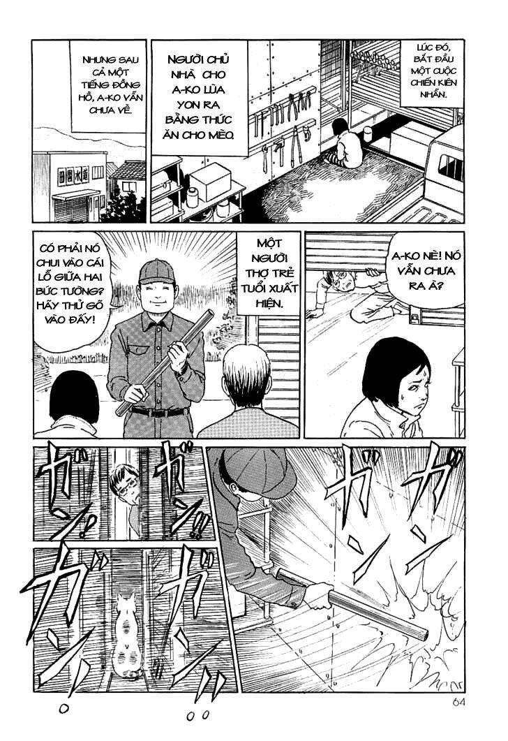ito junji cat's diary chapter 6 - Trang 8