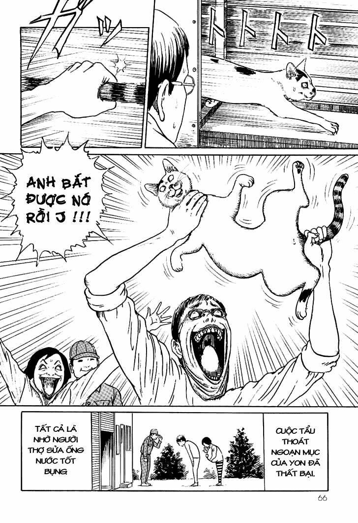 ito junji cat's diary chapter 6 - Trang 10