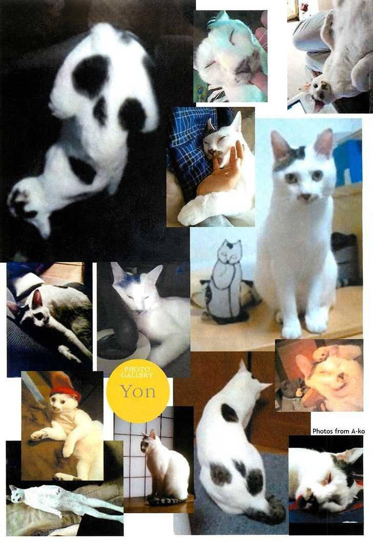 ito junji cat's diary chapter 6 - Trang 11