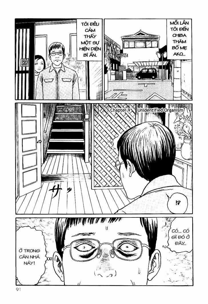 ito junji cat's diary chapter 9 - Trang 1