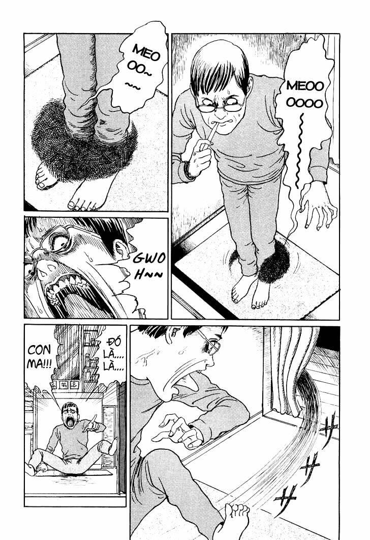 ito junji cat's diary chapter 9 - Trang 6