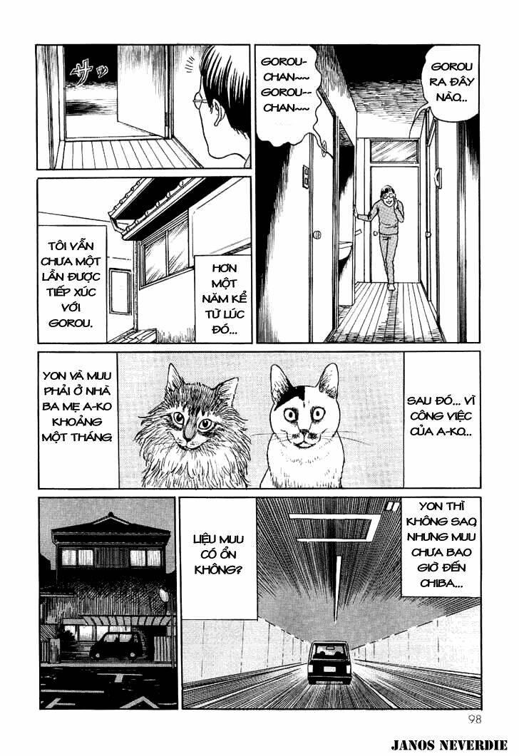 ito junji cat's diary chapter 9 - Trang 8