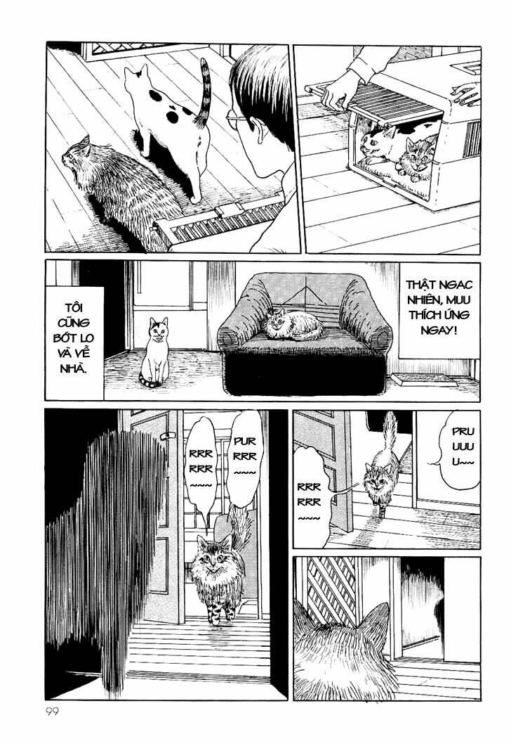 ito junji cat's diary chapter 9 - Trang 9