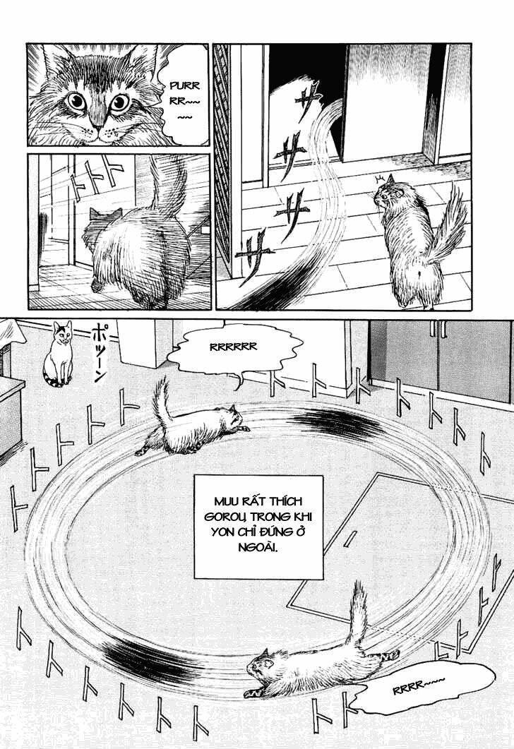 ito junji cat's diary chapter 9 - Trang 10