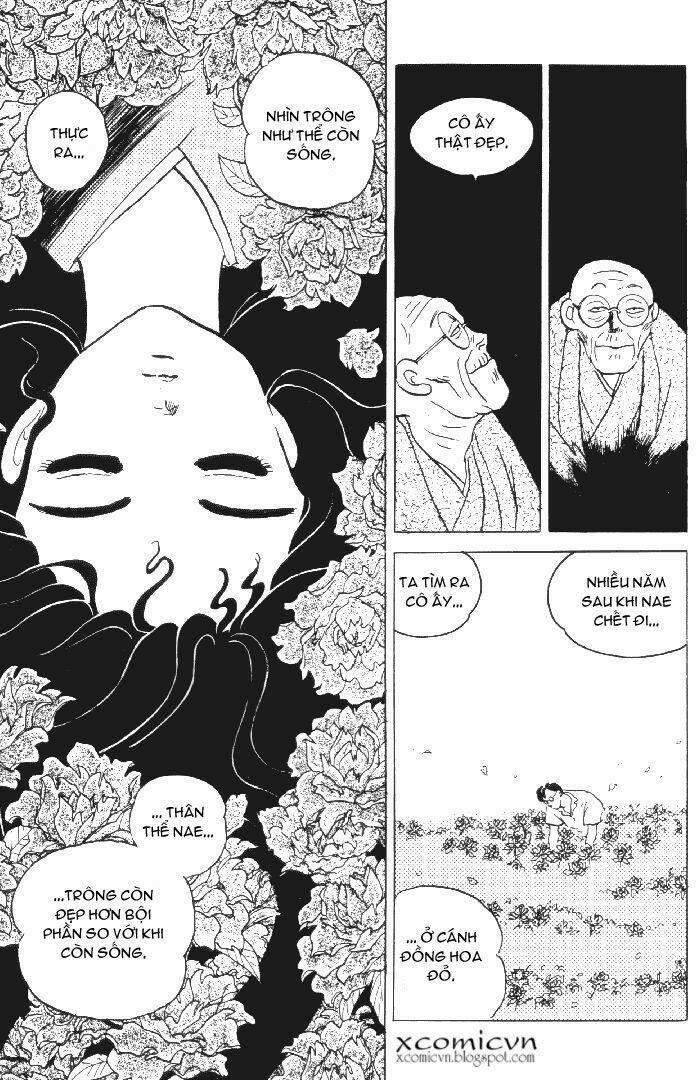 lời nguyền bất tử chapter 14 - Trang 4