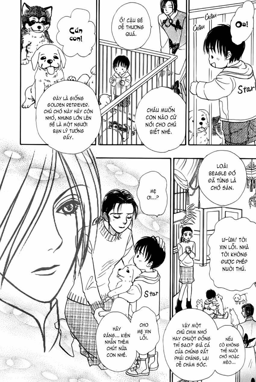 new pet shop of horror chapter 7 - Trang 11