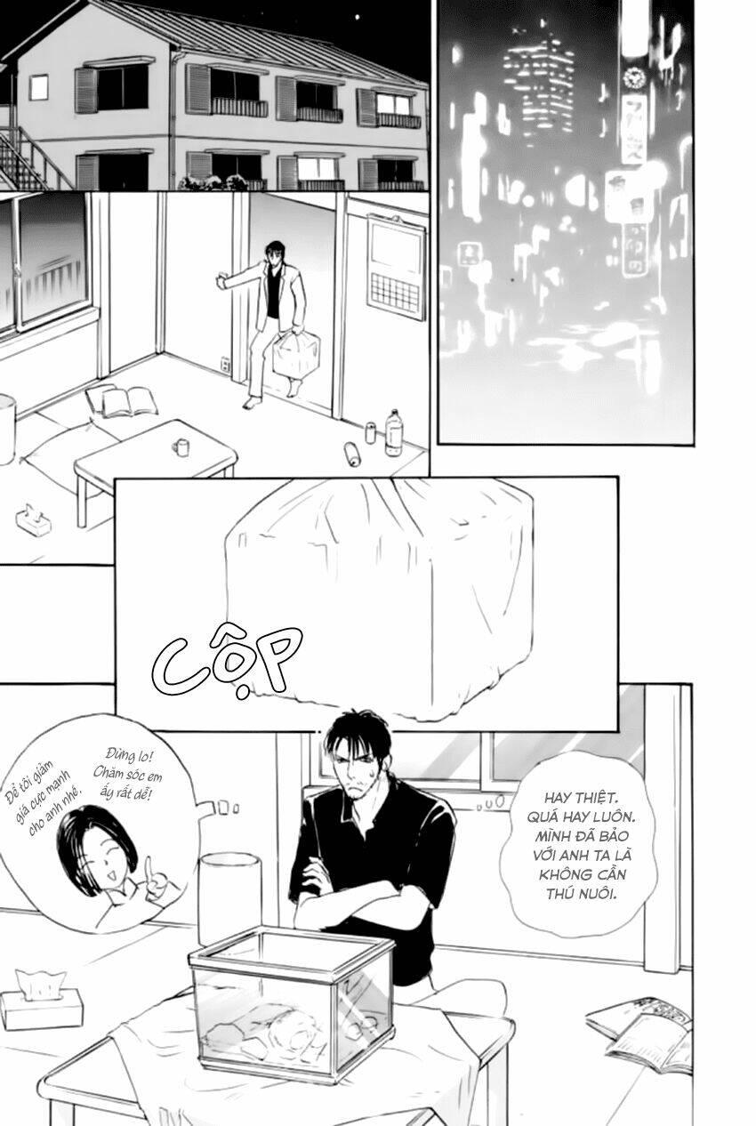 new pet shop of horror chapter 22 - Trang 22