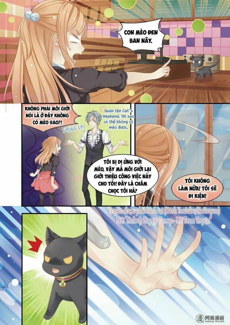 xin chào! coffee cat's chapter 1 - Trang 8