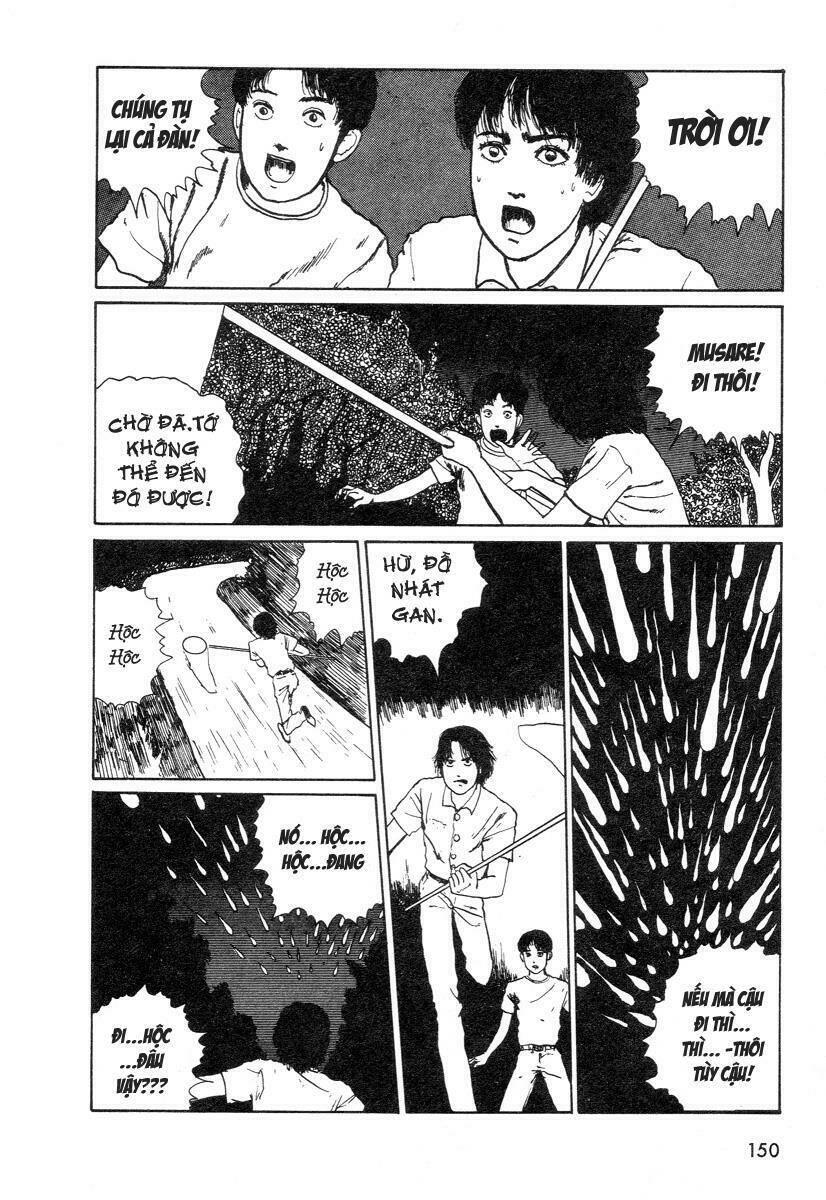 mái tóc của thành a-ten chapter 6 - Trang 4