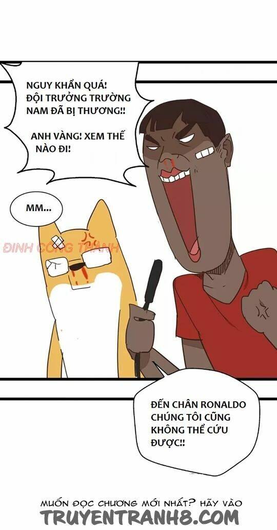 mục vụ chapter 9 - Trang 29