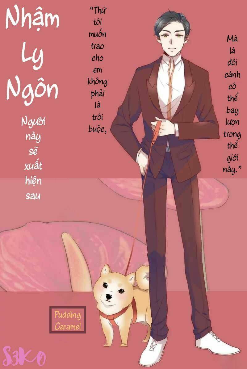 người con gái mà tôi hằng ao ước chapter 0 - Trang 13