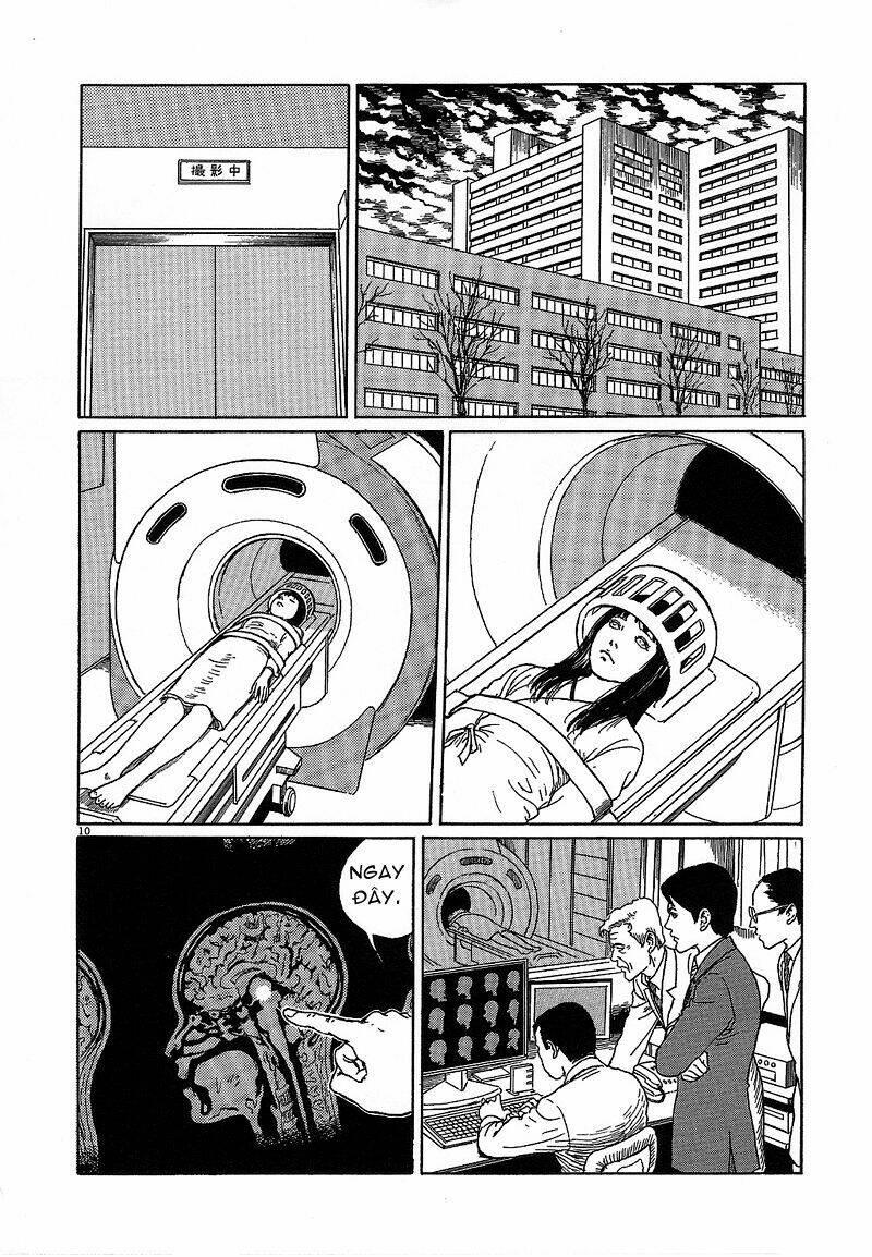 black paradox chapter 6 - Trang 11