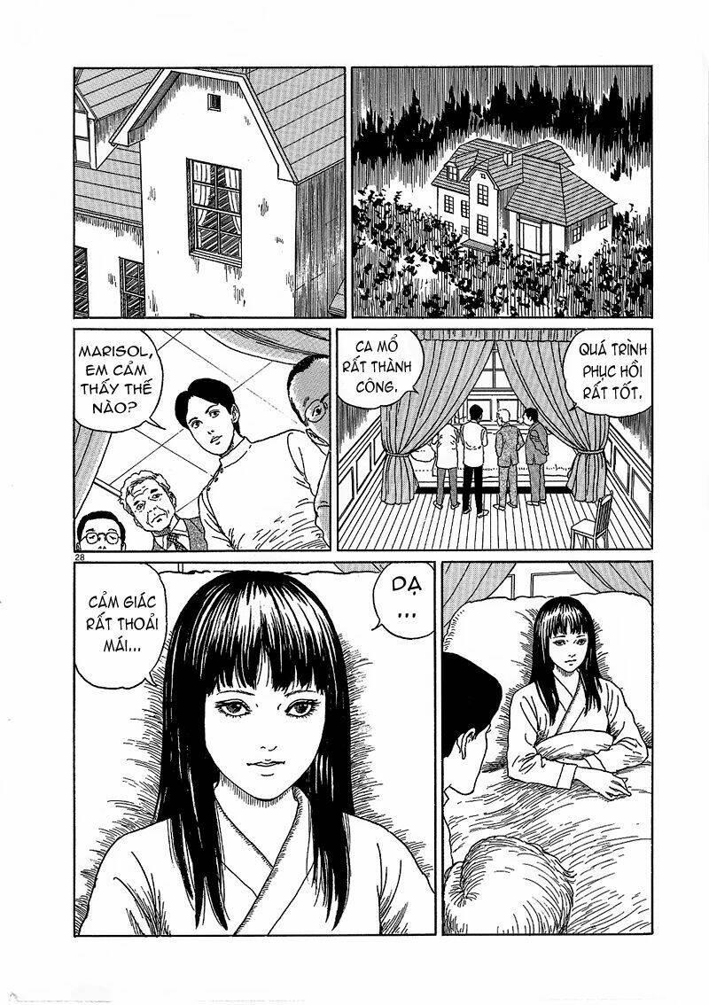 black paradox chapter 6 - Trang 29