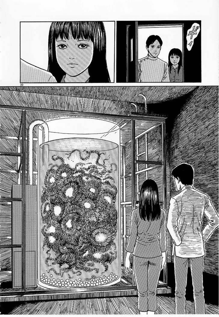 black paradox chapter 6 - Trang 31
