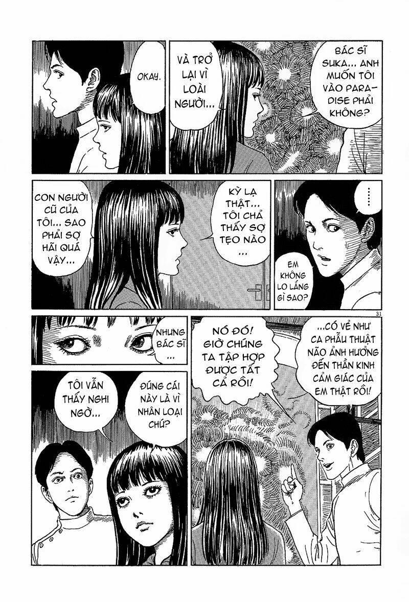 black paradox chapter 6 - Trang 32