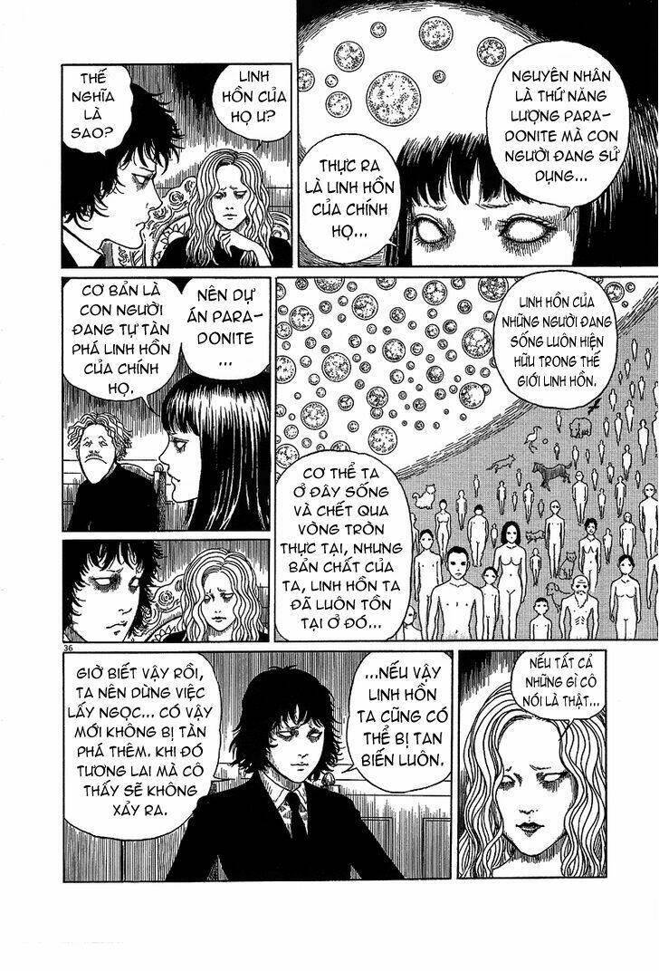 black paradox chapter 6 - Trang 36