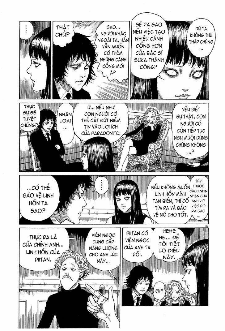 black paradox chapter 6 - Trang 37
