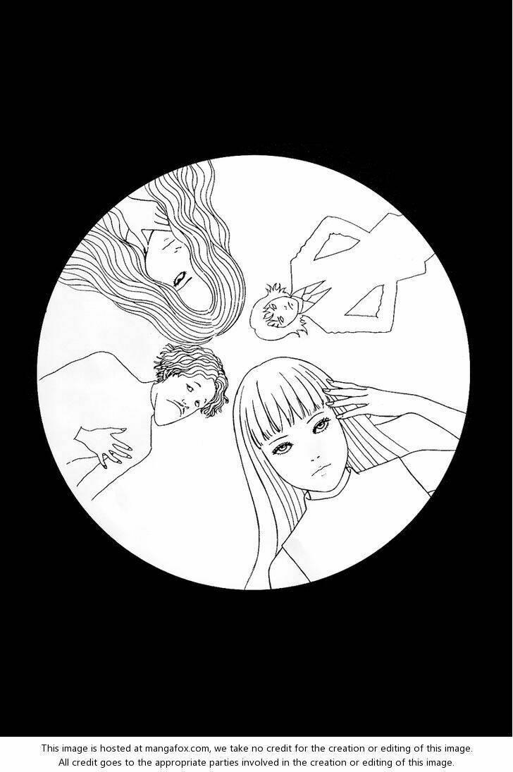 black paradox chapter 6 - Trang 43
