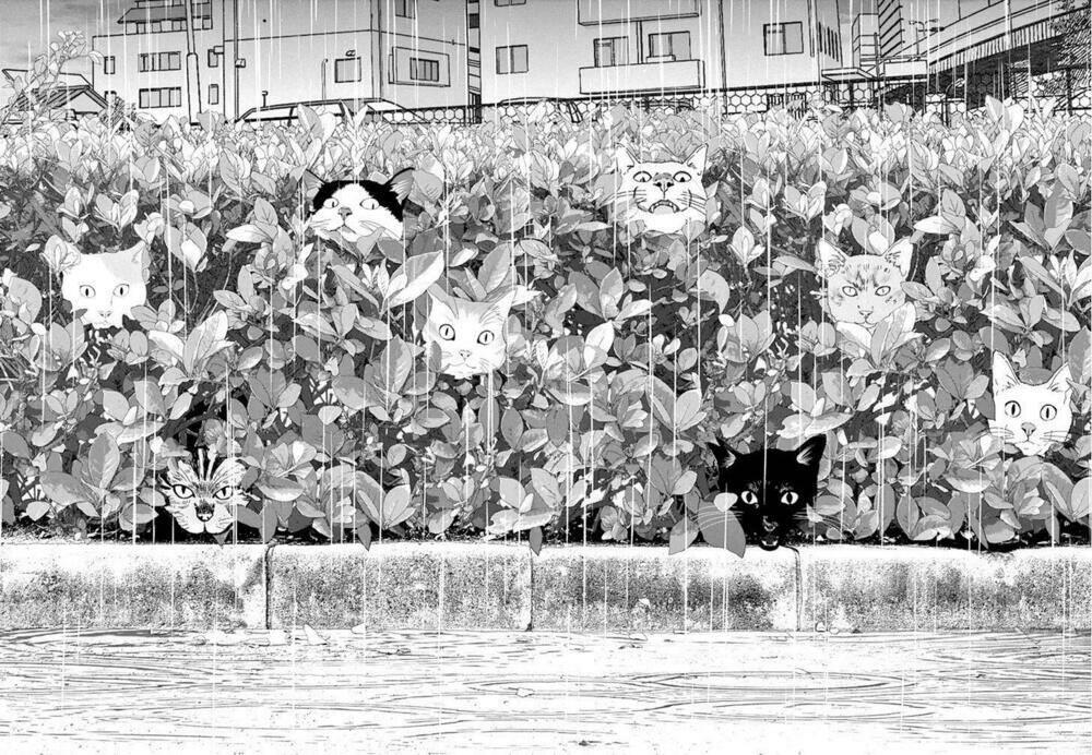 vùng đất kì diệu chapter 9 - Trang 18