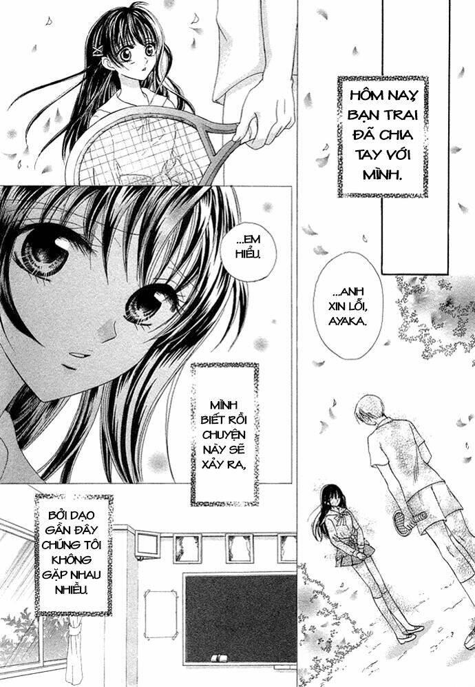 chocolate temptation chapter 1 - Trang 3