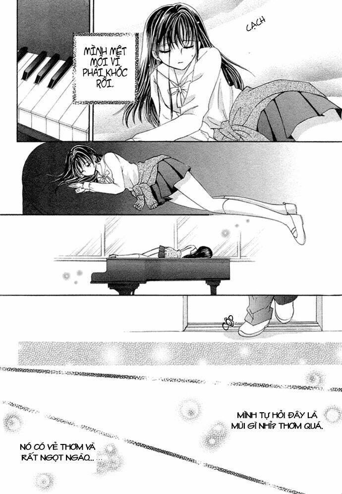 chocolate temptation chapter 1 - Trang 4