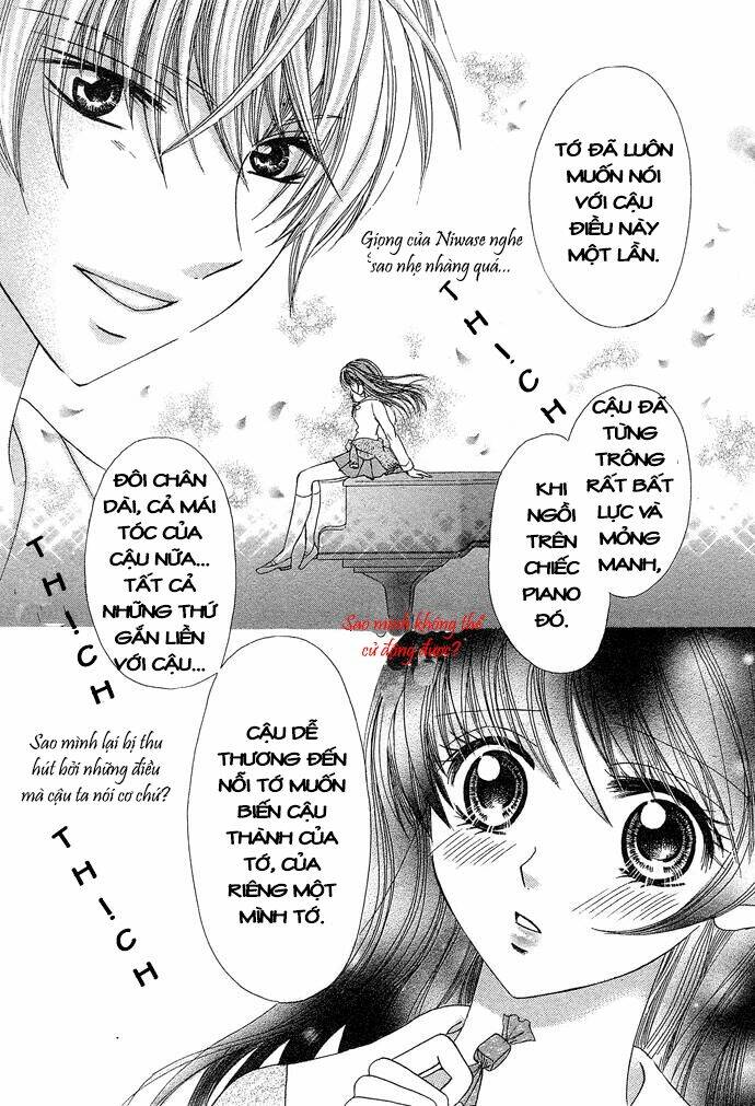 chocolate temptation chapter 1 - Trang 15