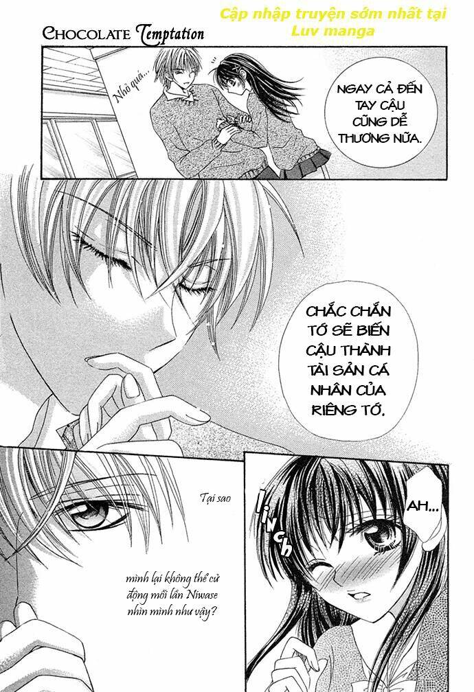 chocolate temptation chapter 1 - Trang 21