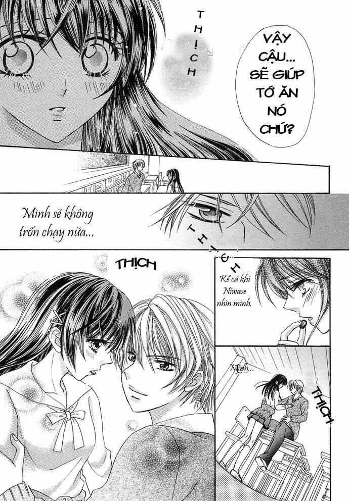 chocolate temptation chapter 1 - Trang 27