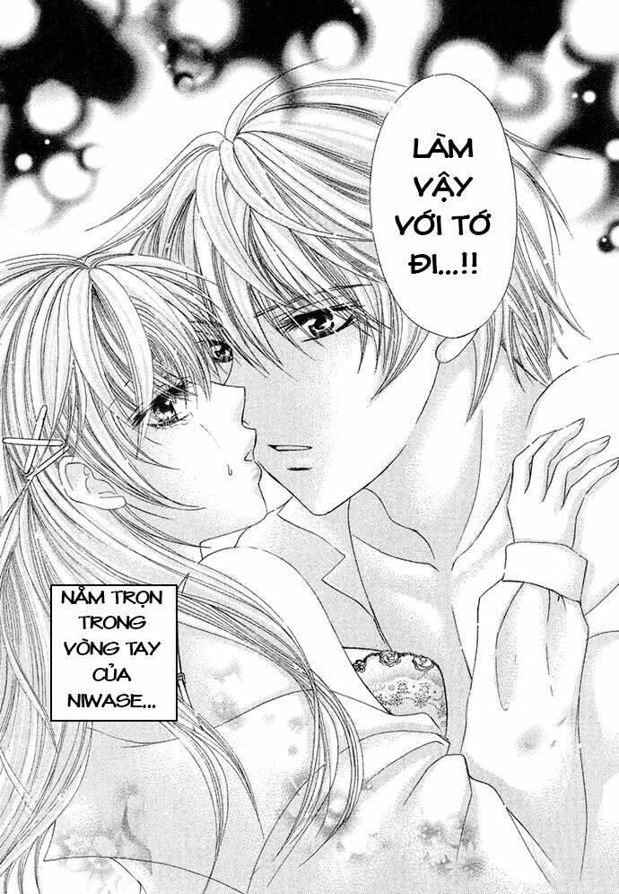 chocolate temptation chapter 1 - Trang 31