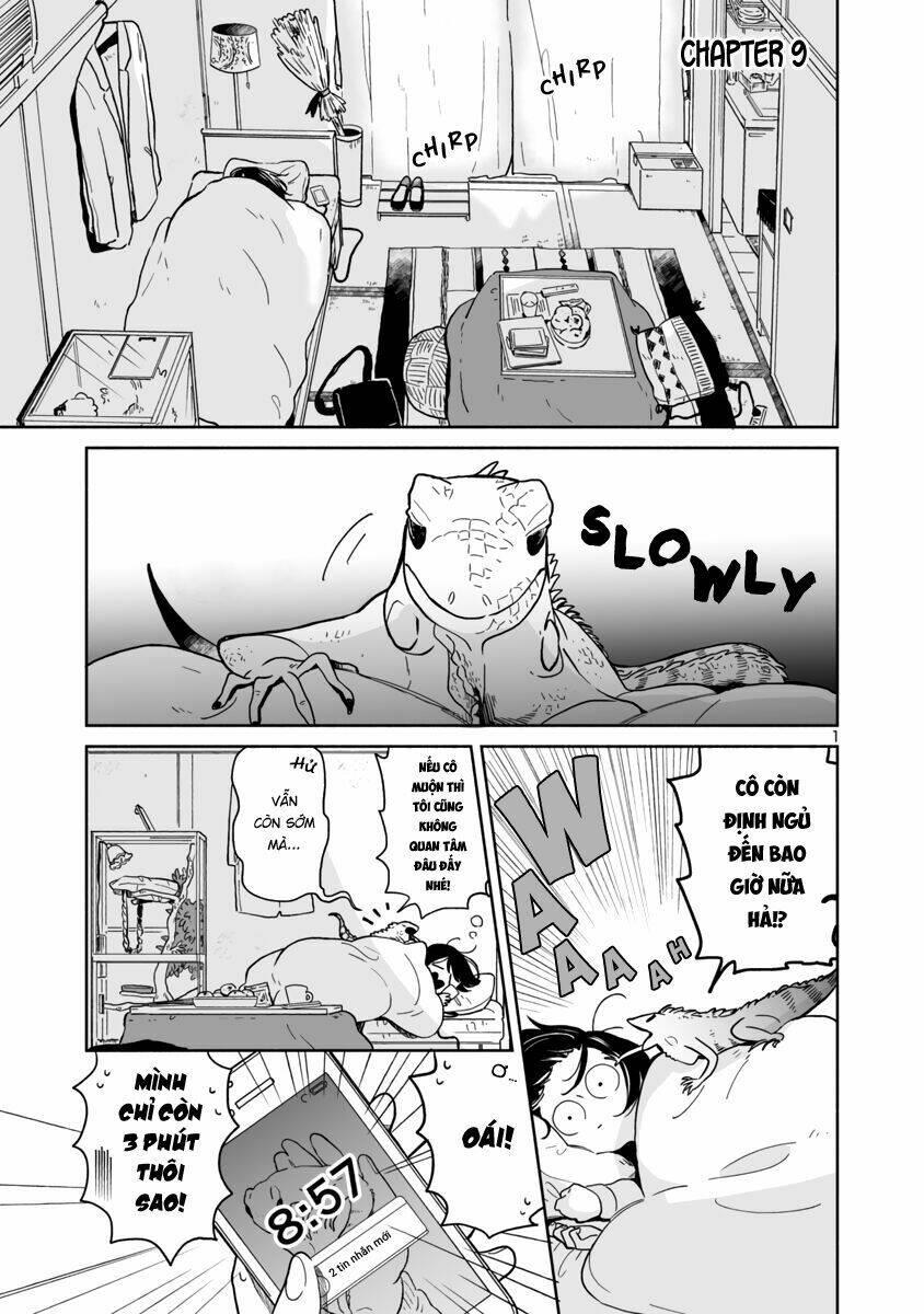 majo-senpai nichijou chapter 9 - Trang 1